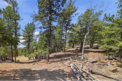 7070 Cr 1, Cripple Creek, CO 80813 - Photo 19