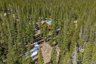248 Puma Pl, Fairplay, CO 80440 - Photo 29