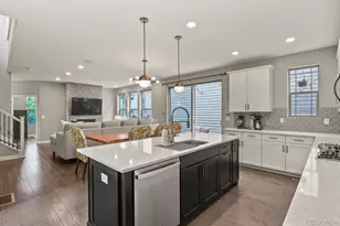 5841 Alton St, Denver, CO 80238 - Photo 19