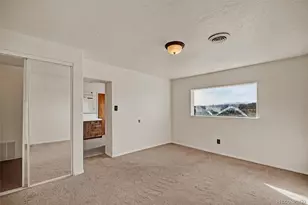 711 Front St, Fairplay, CO 80440 - Photo 19