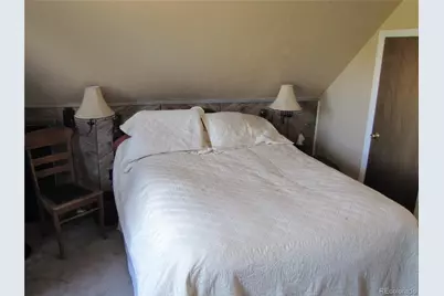 1087 Pulver Road, Lake George, CO 80827 - Photo 13