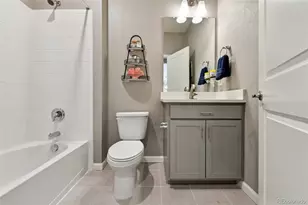 14101 Scarlet Sage St, Parker, CO 80134 - Photo 15