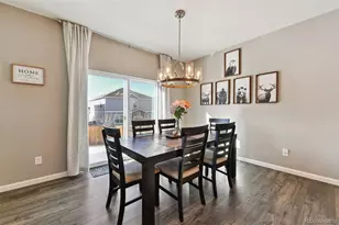 14101 Scarlet Sage St, Parker, CO 80134 - Photo 11