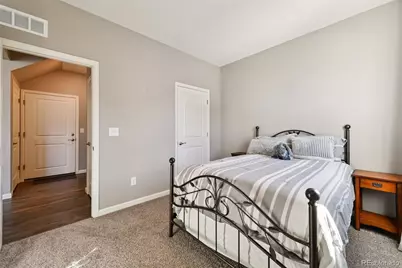 14101 Scarlet Sage Street, Parker, CO 80134 - Photo 13
