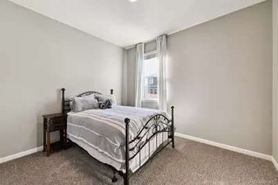 14101 Scarlet Sage Street, Parker, CO 80134 - Photo 13