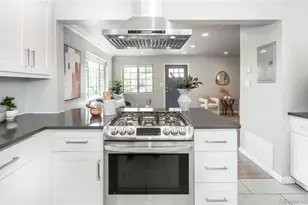 1310 Wolff St, Denver, CO 80204 - Photo 9