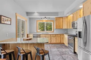 52 Coot Pl, Alma, CO 80420 - Photo 5