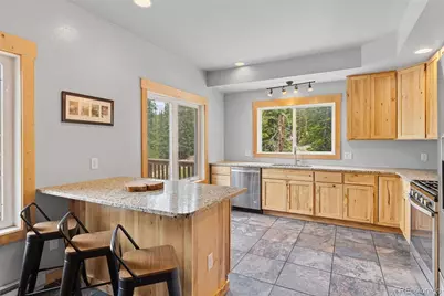 52 Coot Place, Alma, CO 80420 - Photo 7