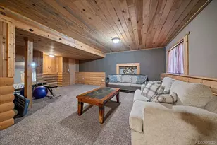 10518 Bellaire St, Thornton, CO 80233 - Photo 23