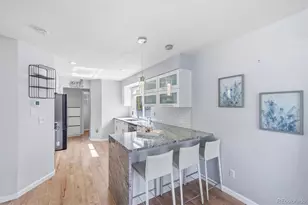 1246 Briarhollow Way, Highlands Ranch, CO 80129 - Photo 9