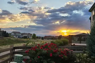 10973 Sedalia Way, Commerce City, CO 80022 - Photo 45
