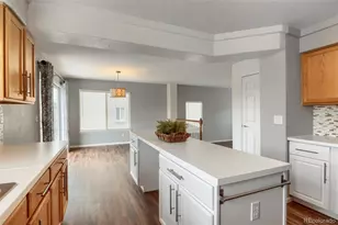 4605 Lyndenwood Circle, Highlands Ranch, CO 80130 - Photo 9