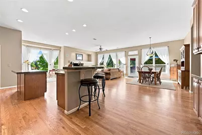 7542 Pyrite Way, Castle Rock, CO 80108 - Photo 5
