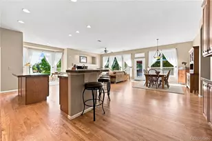 7542 Pyrite Way, Castle Rock, CO 80108 - Photo 5