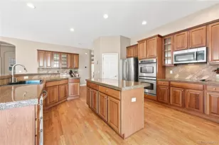 7542 Pyrite Way, Castle Rock, CO 80108 - Photo 7