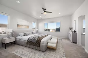 14290 Hop Clover St, Parker, CO 80134 - Photo 5