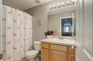 11089 Lima St, Henderson, CO 80640 - Photo 29