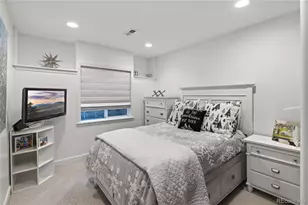 219 Maplehurst Point, Highlands Ranch, CO 80126 - Photo 41