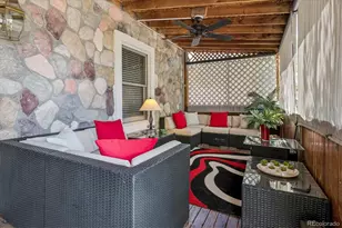 233 Ash Ave, Castle Rock, CO 80104 - Photo 45