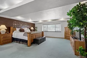 233 Ash Ave, Castle Rock, CO 80104 - Photo 9
