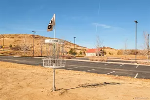 98 Simmental Loop, Castle Rock, CO 80104 - Photo 47