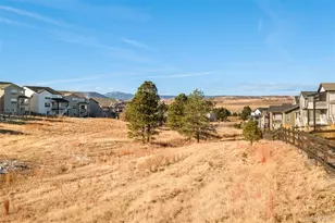 98 Simmental Loop, Castle Rock, CO 80104 - Photo 37