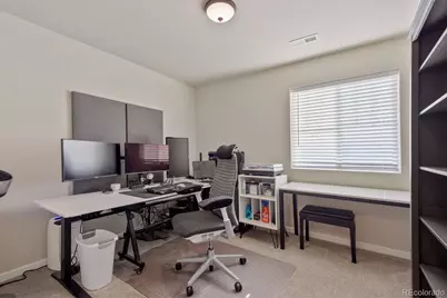 3585 Swabuck Place, Castle Rock, CO 80109 - Photo 13