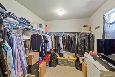 3585 Swabuck Place, Castle Rock, CO 80109 - Photo 23
