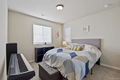 3585 Swabuck Place, Castle Rock, CO 80109 - Photo 21