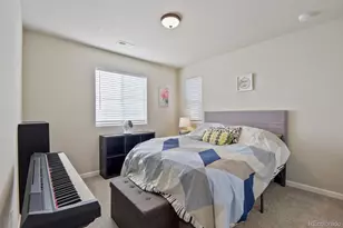 3585 Swabuck Pl, Castle Rock, CO 80109 - Photo 21