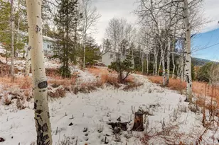 20543 Cypress Dr, Morrison, CO 80465 - Photo 27