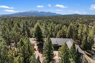 48 Walden Lake Circle, Divide, CO 80814 - Photo 5