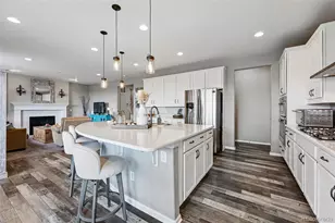 2511 Loon Ln, Castle Rock, CO 80104 - Photo 7