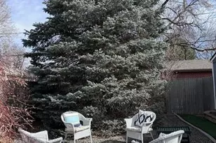 822 Pontiac St, Denver, CO 80220 - Photo 35