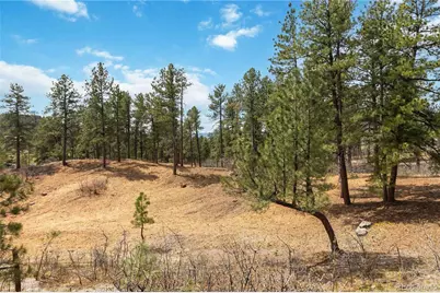 1600 Knotty Pine Way, Castle Rock, CO 80108 - Photo 43