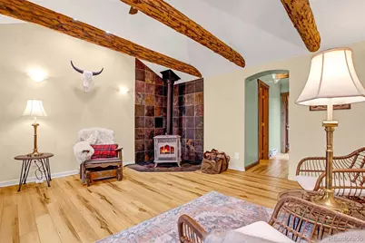 46 Singleton Road, Alma, CO 80420 - Photo 21