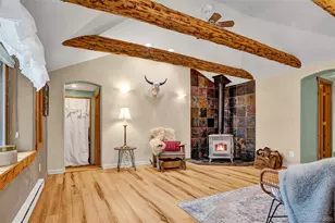 46 Singleton Rd, Alma, CO 80420 - Photo 19