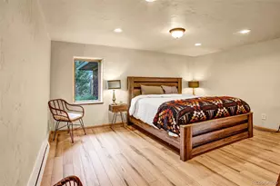 46 Singleton Rd, Alma, CO 80420 - Photo 37