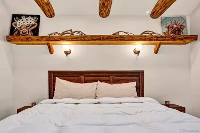 46 Singleton Road, Alma, CO 80420 - Photo 27