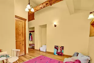 46 Singleton Rd, Alma, CO 80420 - Photo 33