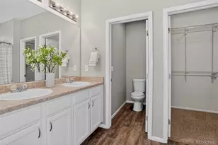 2254 Broadleaf Loop, Castle Rock, CO 80109 - Photo 19