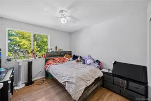 1142 E 100th Pl, Denver, CO 80229 - Photo 19