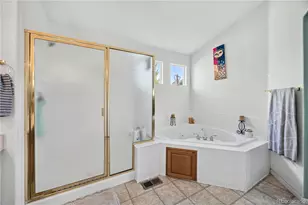 1142 E 100th Pl, Denver, CO 80229 - Photo 25