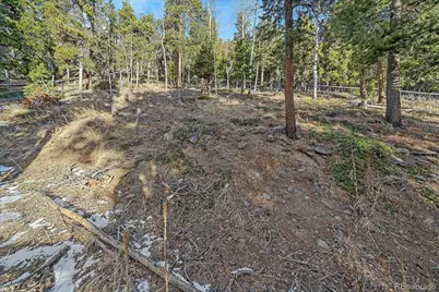 66 Lodgepole Circle, Evergreen, CO 80439 - Photo 5