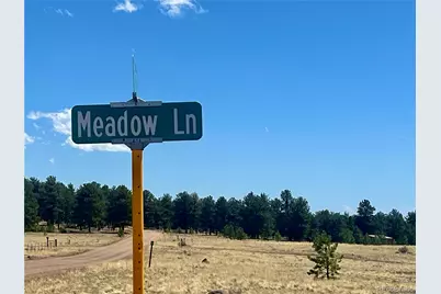 90 Meadow Lane, Guffey, CO 80820 - Photo 19