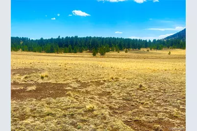 90 Meadow Lane, Guffey, CO 80820 - Photo 11