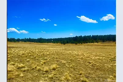 90 Meadow Lane, Guffey, CO 80820 - Photo 13