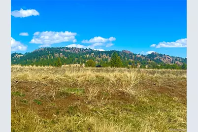 90 Meadow Lane, Guffey, CO 80820 - Photo 3