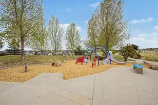 6982 Hyland Hills St, Castle Pines, CO 80108 - Photo 43