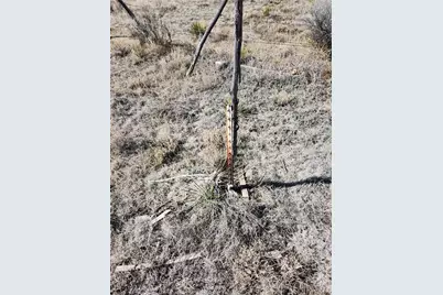 973 Conejos Trails, Antonito, CO 81120 - Photo 39